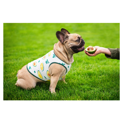 Vsepropejska Zada ovocné tričko s potiskem pro psa Barva: Zelená, Délka zad (cm): 29, Obvod hrud