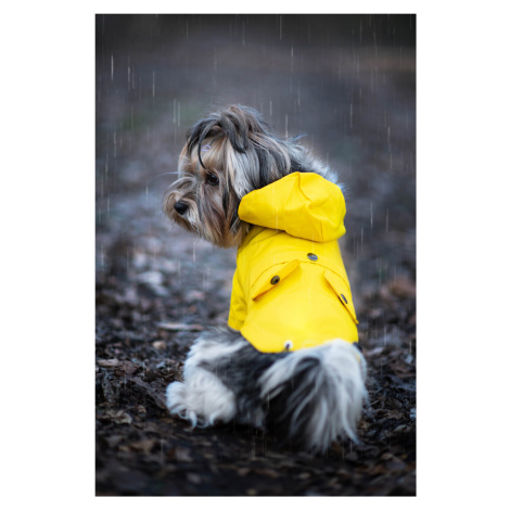 Vsepropejska Riska pláštěnka pro psa Barva: Žlutá, Délka zad (cm): 34, Obvod hrudníku: 44 - 48 c