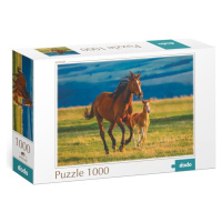 Puzzle Výchova hříběte 1000 dílků