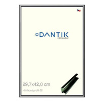 DANTIK rámeček 29,7 × 42, ALU profil 7002 Šedý leský plexi čiré