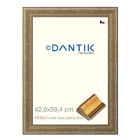 DANTIK rámeček 42 × 59,4, KŘÍDLO malé zlaté patina plexi čiré