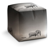 Sablio Taburet Cube Slon a zebra: 40x40x40 cm