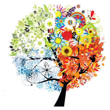 Euroart SAMOLEPKA NA ZEĎ