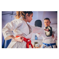 Fotografie Female karate player practicing with trainer, South_agency, 40 × 26.7 cm