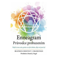 Enneagram - Průvodce probuzením - Chestnut Beatrice, Uranio Paes