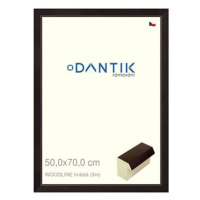 DANTIK rámeček 50 × 70, WOODLINE hnědý plexi čiré