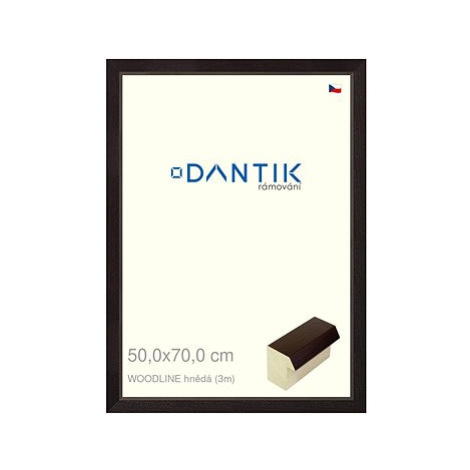 DANTIK rámeček 50 × 70, WOODLINE hnědý plexi čiré