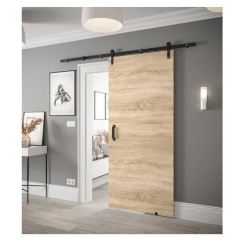 Posuvné dveře s kováním LEONTINA 1 - 90 cm, dub sonoma