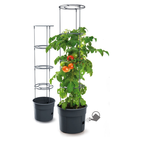 Květináč pro pěstování rajčat a jiných pnoucích rostlin, Grower antracit 39,2 cm PRIPOM400-S433 Prosperplast