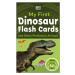 My First Dinosaur Flash Cards - kniha z kategorie Naučné knihy