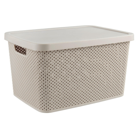 Homeware ÚLOŽNÝ BOX, plast