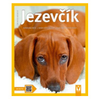 Jezevčík - Fiedelmeierová Leni