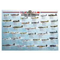 Plakát, Obraz - AlliedAirCommand WWII Fighters, 91.5 × 61 cm