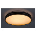 Rabalux stropní svítidlo Gandor LED 24W CCT DIM 71141