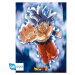 Set 2 plakátů Dragon Ball Super - Goku & Friends (52x38 cm)