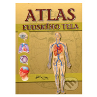 Atlas ľudského tela - Peter Abrahams - kniha z kategorie Atlasy