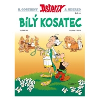 Asterix Bílý kosatec (40)