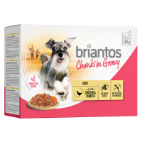 Briantos Chunks in Gravy 48 x 100 g - výhodné balení - kuřecí s mrkví