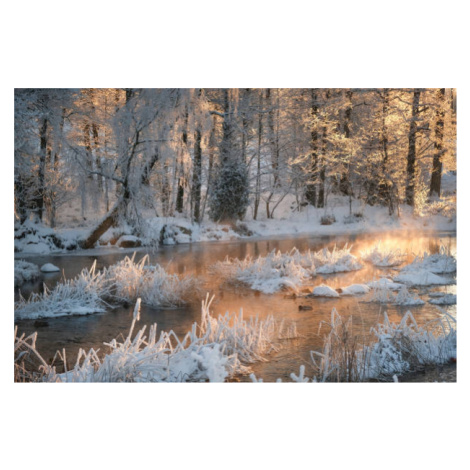 Fotografie Morning by a frozen river in winter, Schon, (40 x 26.7 cm)