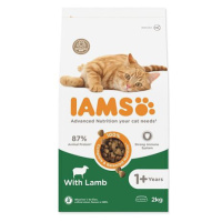 IAMS Cat Adult Lamb 2 kg