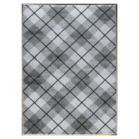 Berfin Dywany Kusový koberec Aspect 1724 Silver (Grey) - 160x220 cm