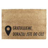 Rohožka z kokosového vlákna 40x60 cm Pin – Artsy Doormats