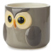 BALVI Owl 27678