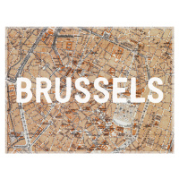 Mapa Brussels Map - Historical & Vintage Maps, 40 × 30 cm