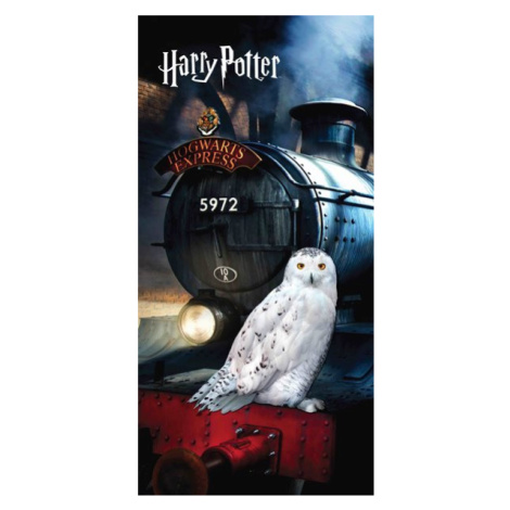 Jerry Fabrics osuška Harry Potter 111