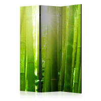 Paraván Sun and bamboo Dekorhome 225x172 cm (5-dílný)