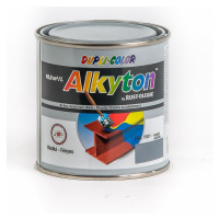 Alkyton RAL7001 lesk 250ml