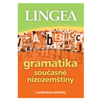 Gramatika současné nizozemštiny