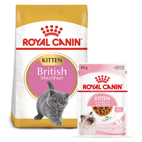 ROYAL CANIN KITTEN British Shorthair 2 kg + Kitten v omáčce 12× 85 g