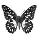 Fotografie Old chromolithograph illustration of Birdwing Butterfly, mikroman6, (40 x 35 cm)