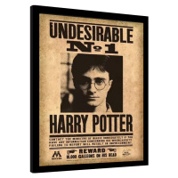 Obraz na zeď - Harry Potter - Undesirable No. 1, 30 × 40 cm