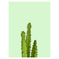 Ilustrace cactus 8, Finlay & Noa, (30 x 40 cm)