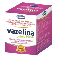 Vitar Vazelina Aloe Vera 110g (134ml)