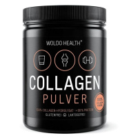 WoldoHealth 100% Hovězí kolagen 500 g