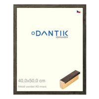 DANTIK rámeček 40 × 50, Metalli oidati AG tmavý sklo čiré