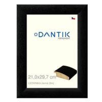 DANTIK rámeček 21 × 29,7, LEDVINKA černý sklo čiré