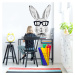 DEKORACJAN Samolepka na zeď - králík v brýlích Velikost: L, Barva doplňku: černá