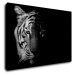 Impresi Obraz Tygr černobílý - 90 x 60 cm