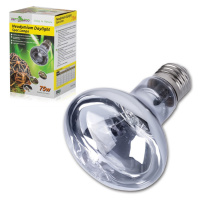 ReptiZoo Neodymium Daylight žárovka 75W