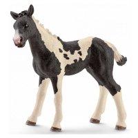 Schleich 13803 Hříbě Pinto