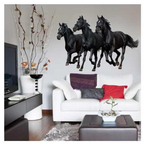 Samolepka na zeď - Tři černé koně INSPIO