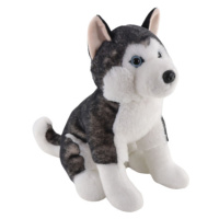 Husky sedící 25 cm