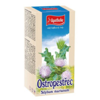 Apotheke Ostropestřec mariánský čaj 20x2g