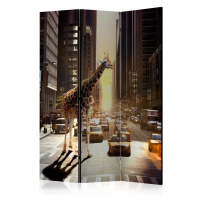 Paraván Giraffe in the Big City Dekorhome 225x172 cm (5-dílný)