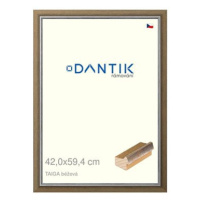 DANTIK rámeček 42 × 59,4, TAIGA béžový plexi čiré