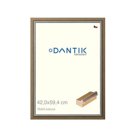 DANTIK rámeček 42 × 59,4, TAIGA béžový plexi čiré